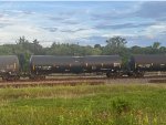 CITX 220240